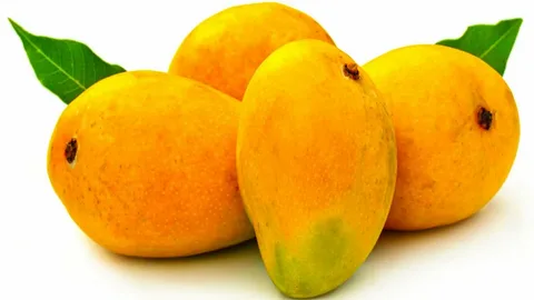 تصویر 1 از قیمت ابمیوه طبیعی انبه تکدانه + خرید باورنکردنی